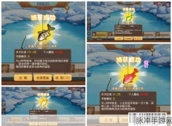 创造与魔法手游攻略，详解铜币如何高效兑换银币