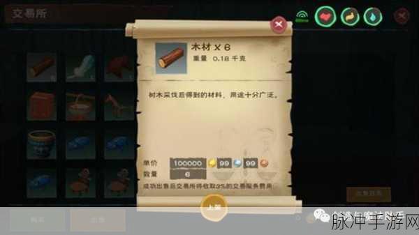 创造与魔法手游攻略,详解铜币如何高效兑换银币