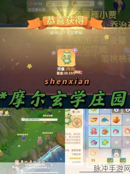摩尔庄园手游，河童的多样用途与完美布局技巧详解