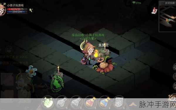 贪婪洞窟2职业风云，深度探秘最强职业之谜