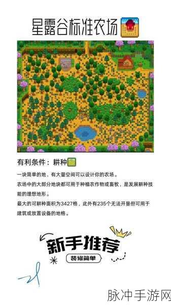 星露谷物语夏季游玩全攻略，深度探索炎热季节的农场生活与丰富活动体验