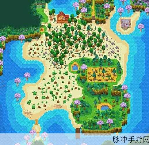 星露谷物语夏季游玩全攻略,深度探索炎热季节的农场生活与丰富活动体验