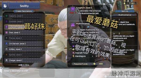 怪物猎人世界，深入探索匠珠子的奥秘与力量