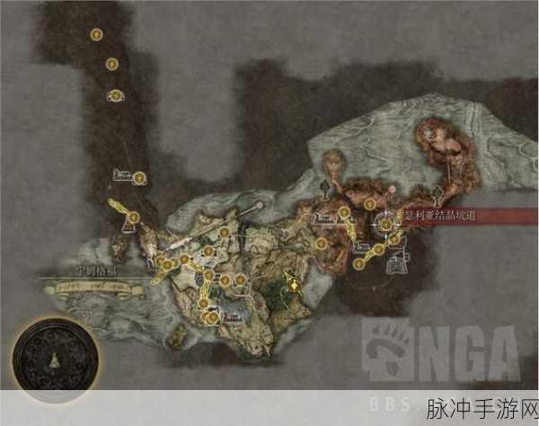 艾尔登法环深度攻略,腐败野狗的骨灰获取全解析