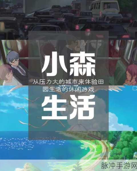 小森生活跟踪乌龙任务完成攻略,详细步骤与技巧全解析