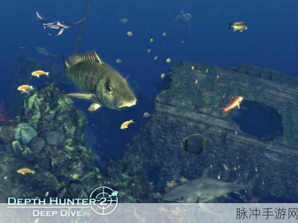 滑浪冒险SlidingSeas,免费探索海洋奇境的冒险之旅