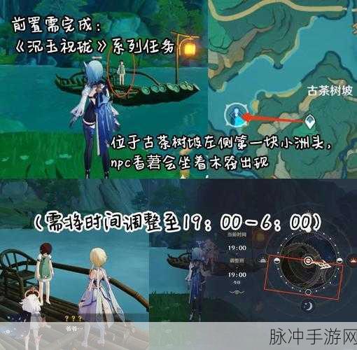 原神天领奉行府探秘之旅,步步为赢的攻略秘籍