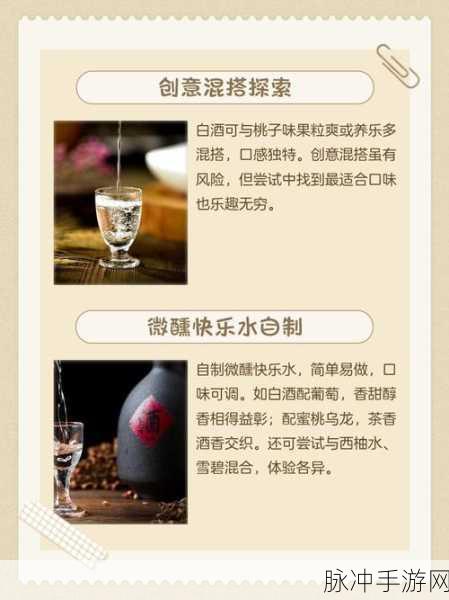 烟雨江湖深度攻略,家宅陈年酒坛泡酒配方全揭秘