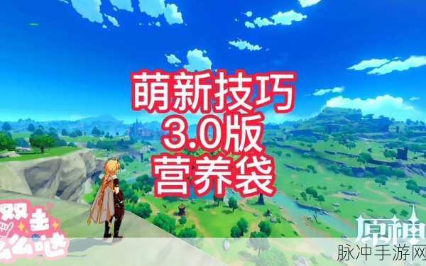 原神营养袋与便携营养袋制作全攻略