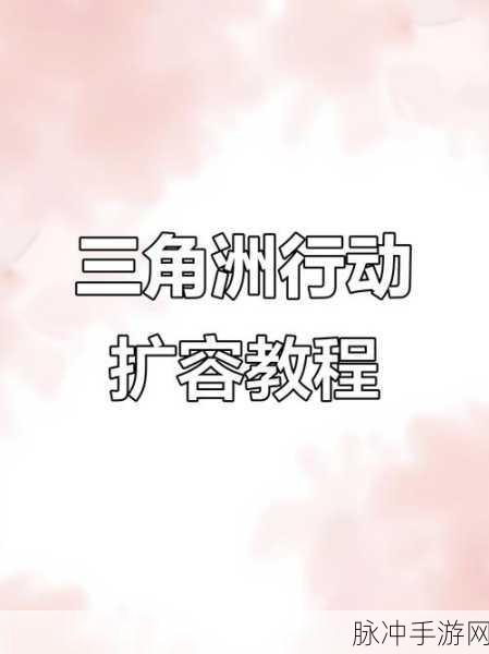 三角洲行动仓库扩容技巧,高效获取扩容箱方法与策略全面解析