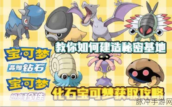 口袋妖怪红宝石，化石盔与石翼龙深度对比攻略