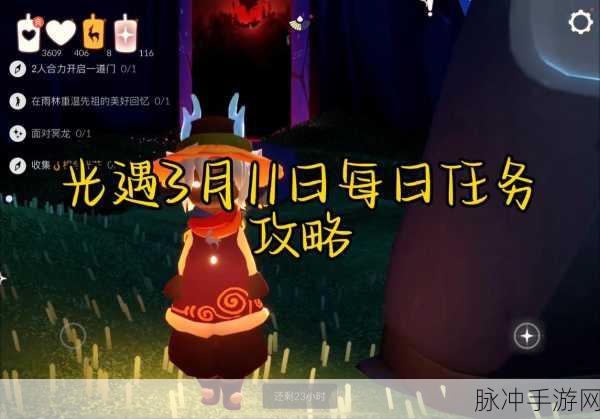 光遇两人合力开启一道门任务完成攻略，深度解析通关技巧与注意事项
