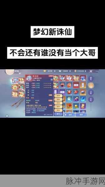 梦幻新诛仙手游新手入门级攻略,全面解析与快速成长