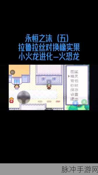 口袋妖怪之永恒之沫，金手指使用全攻略