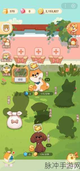 家居改造王，狗狗满了？高效管理宠物乐园全攻略