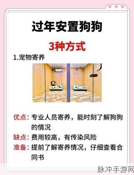 家居改造王,狗狗满了?高效管理宠物乐园全攻略