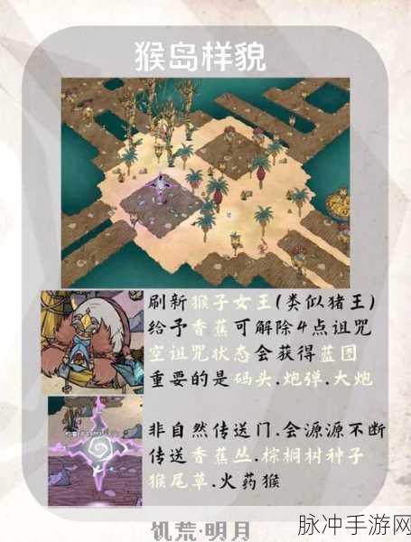 饥荒世界深度探索指南，踏上仙人掌花的采集与生存冒险之旅