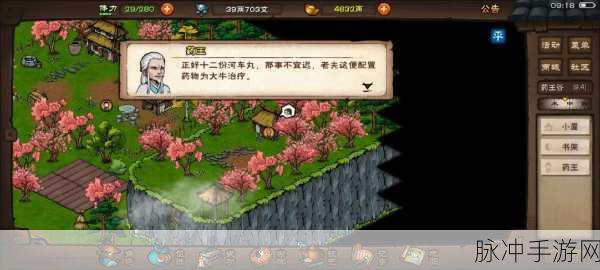 烟雨江湖深度攻略,探寻免费治疗之地