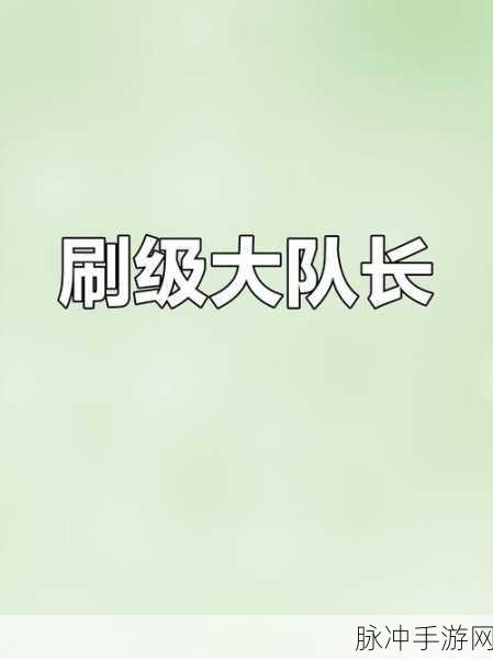 洛克王国手游深度攻略,打造高效刷级大队的必备要素