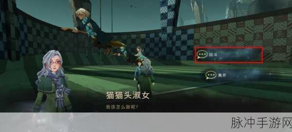 哈利波特:魔法觉醒巧克力蛙NPC战斗技巧全解析,助你畅游魔法世界!