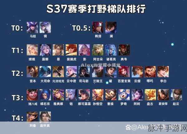 王者荣耀深度解析,AD英雄的定位与攻略