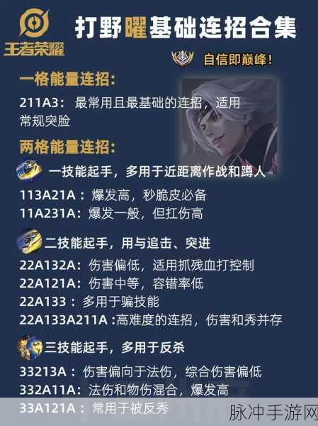 王者荣耀攻略，揭秘曜云鹰飞将个性动作获取之道
