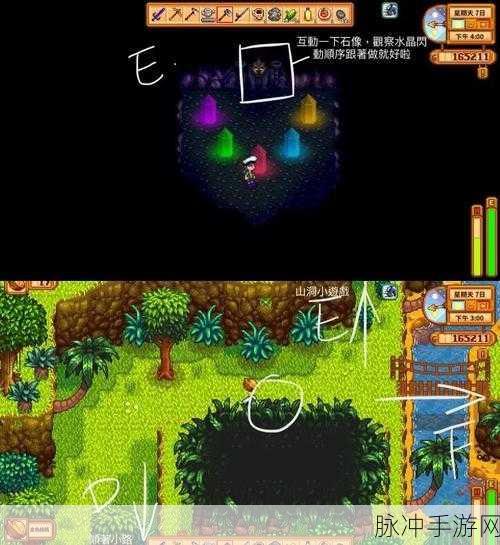 星露谷物语深入解析，掌握攻略精髓，快速积累金币与探寻金核桃的秘密