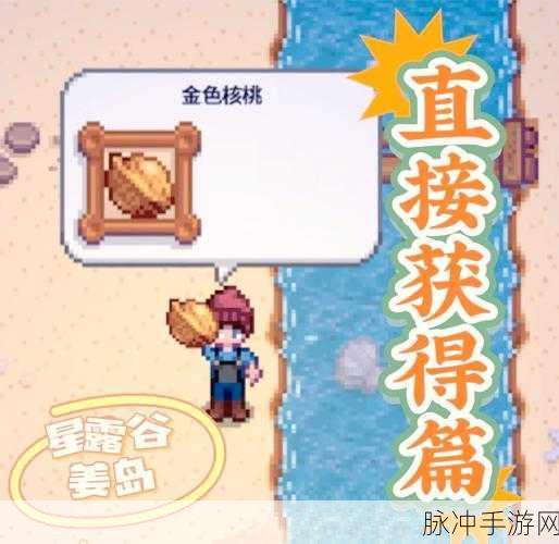 星露谷物语深入解析,掌握攻略精髓,快速积累金币与探寻金核桃的秘密
