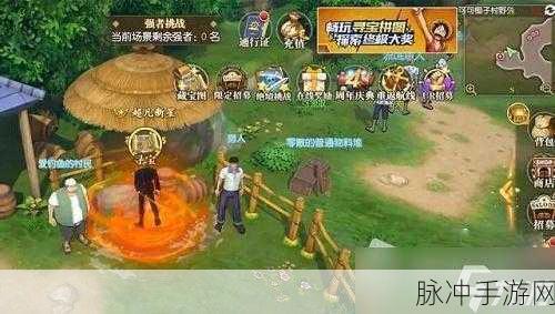航海王燃烧意志金币获取全攻略,解锁财富之路