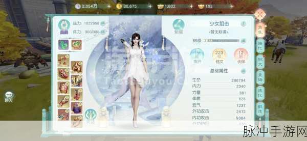 花与剑手游玄冰职业深度攻略，玄冰技能全面一览