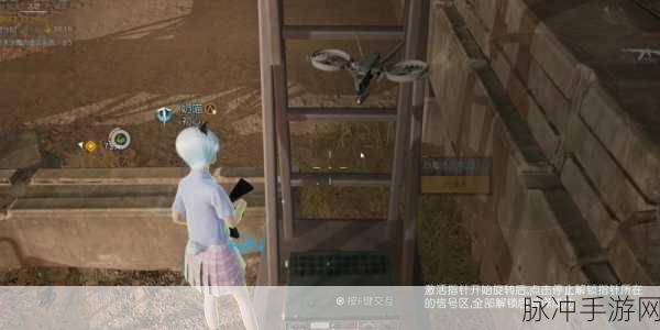 黎明觉醒生机钓鱼攻略，探寻大口黑鲈的垂钓秘境