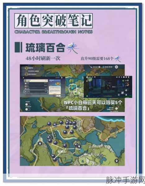 原神深度攻略,地区探索度提升全解析