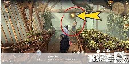 哈利波特魔法觉醒，10.23拼图寻宝攻略——解析不用管啼哭的曼德拉草位置在哪