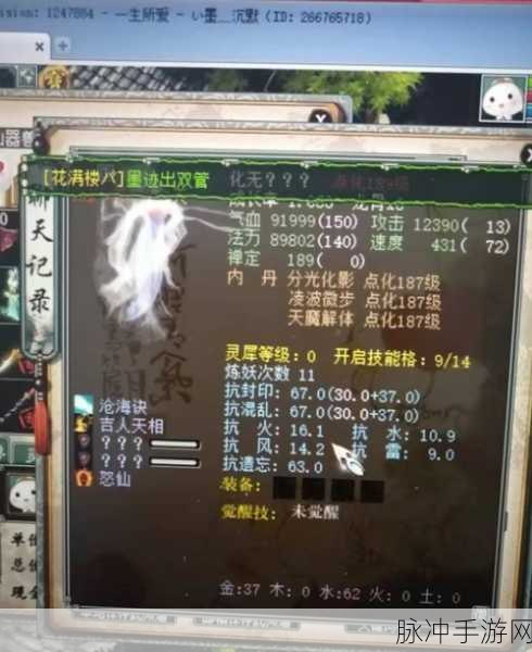 大话西游2冥灵妃子深度玩法指南