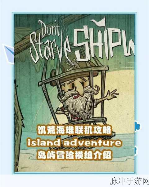 饥荒海难沼泽深度攻略,探索与利用的全面指南