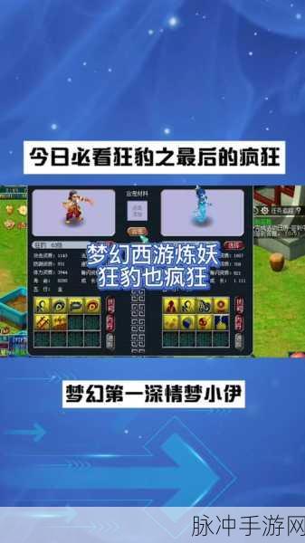 梦幻西游无双版人形狂豹技能搭配全攻略