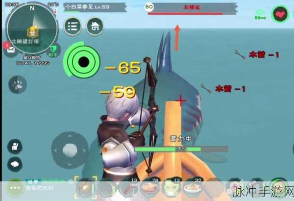 探索游戏新领域，深度解析创造与魔法灰靖鲨饲料包制作攻略
