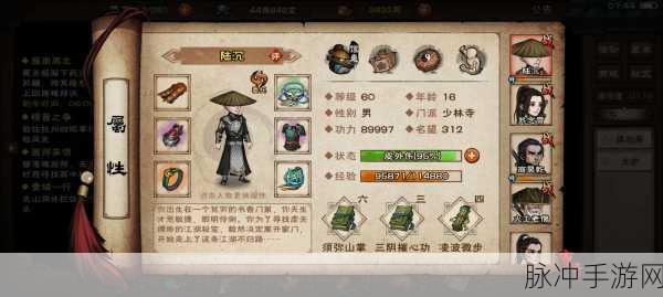 烟雨江湖黑玉晶获得攻略，全面解析获取途径与技巧