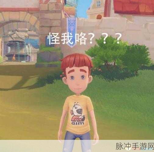 波西亚时光内置修改器,揭秘游戏内隐藏的修改工具全攻略