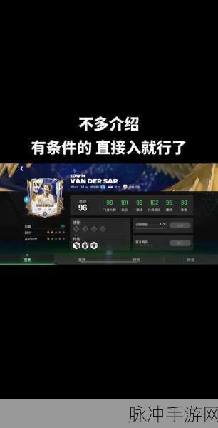 FIFA足球世界，门将球员培养全攻略，推荐选择哪个更出色？