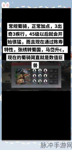 三国志手游攻略，揭秘蜀骑T0阵容搭配秘籍