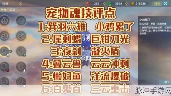 妄想山海宠物技能书优先度详解，一本指引宠物技能提升的关键手册