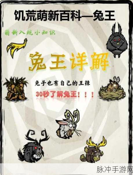 饥荒游戏中黑兔子角色解锁高效生存新策略及专属代码秘籍指南