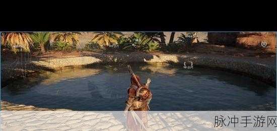 刺客信条起源揭秘,厚皮任务高效攻略,征服沙漠的终极挑战