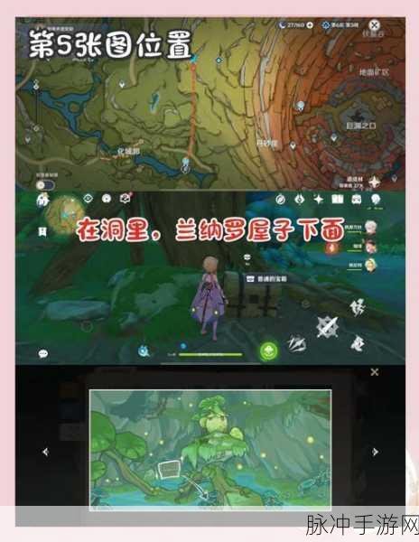 林中小书原神，一场探寻未知的神秘之旅深度攻略