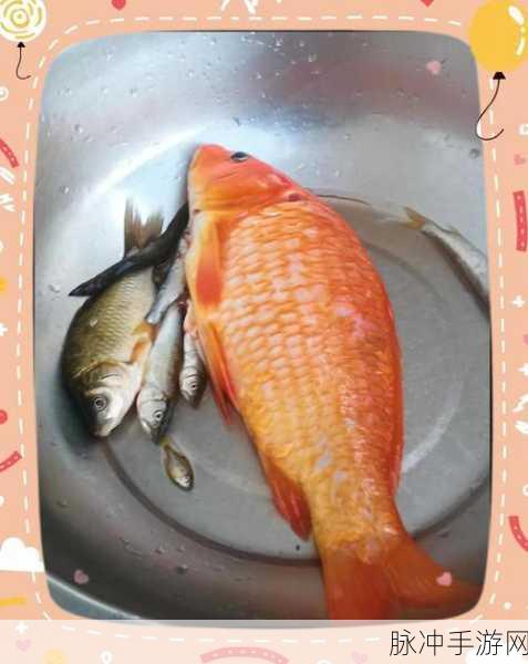 一梦江湖手游，金色鲤鱼的具体作用及其重要性全面剖析