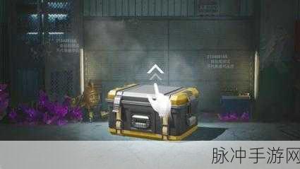 和平精英顶级枪械物资箱深度解析，解锁顶级装备的秘密