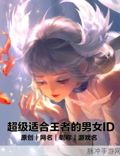 不俗套的王者荣耀,探寻最撩人网名与好听游戏名的魅力攻略