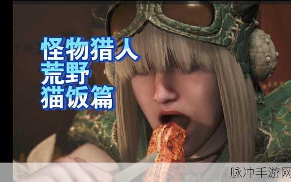 怪物猎人2G手游攻略，揭秘猫饭搭配，助你加血加攻