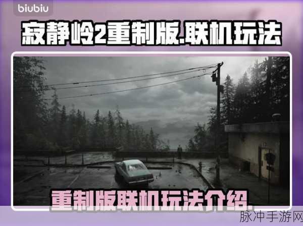 寂静岭2重制版全解析,各版本内容差异、价格对比及独家特色揭秘